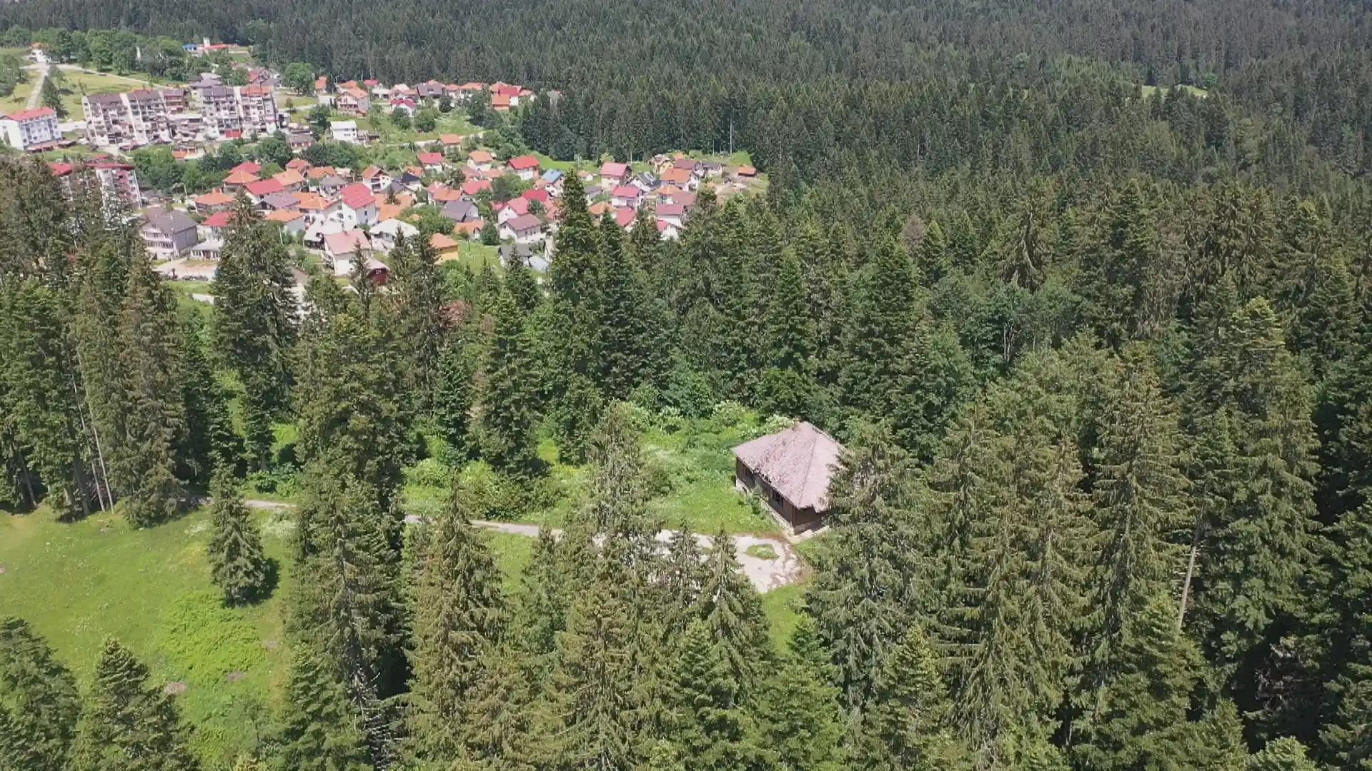 Educational Forest Trail